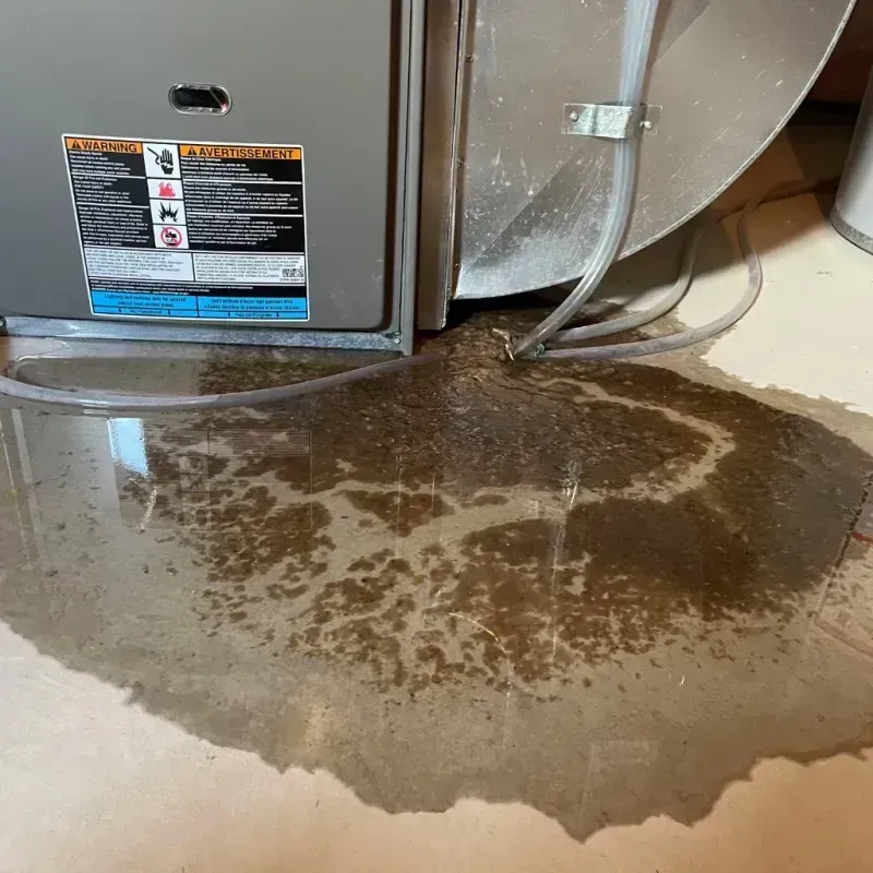 Appliance Leak Cleanup in Chicago Ridge, IL